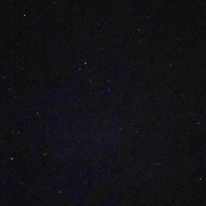 Meet your Posher, Andres